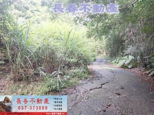 苗栗農地-1