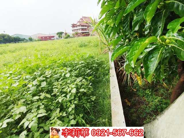 高雄仁武農地-6