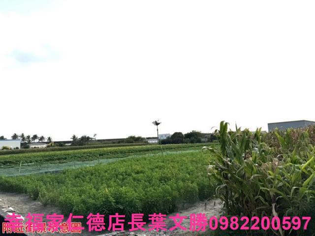 台南農地-7