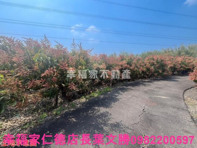 台南官田農地-10