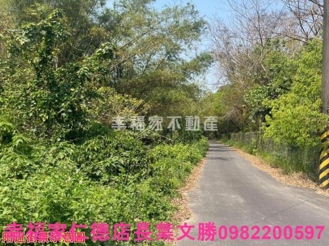 台南官田農地-1