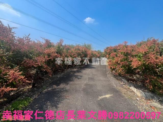 台南官田農地-4