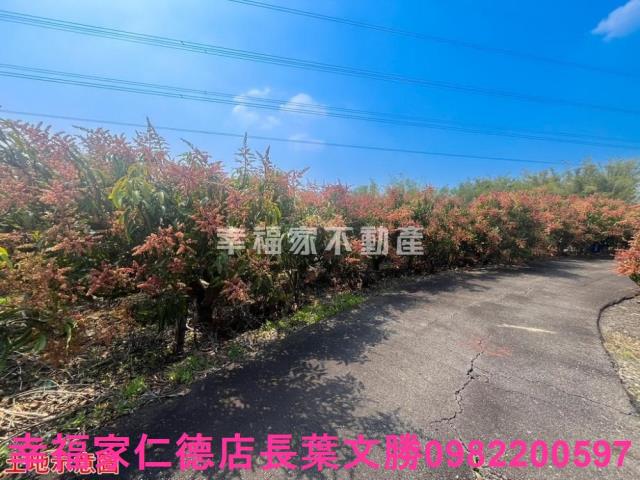 台南官田農地-7