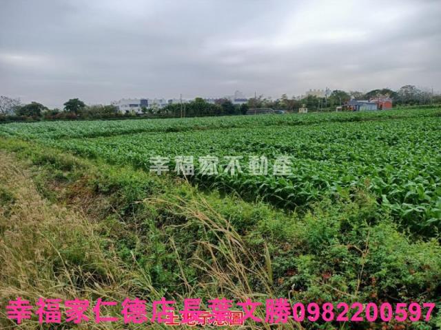 台南佳里農地-13