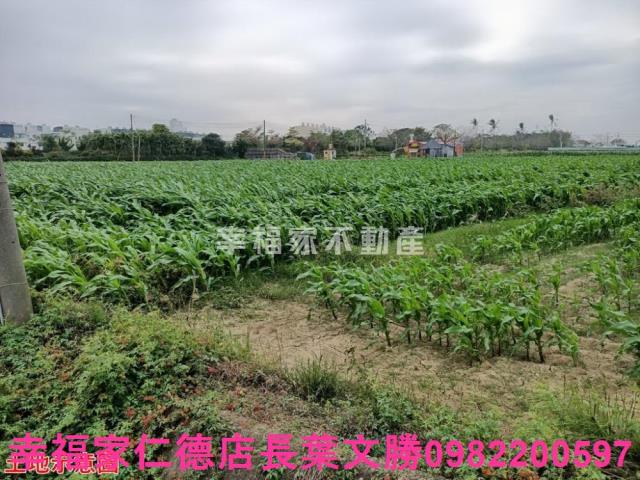 台南佳里農地-1