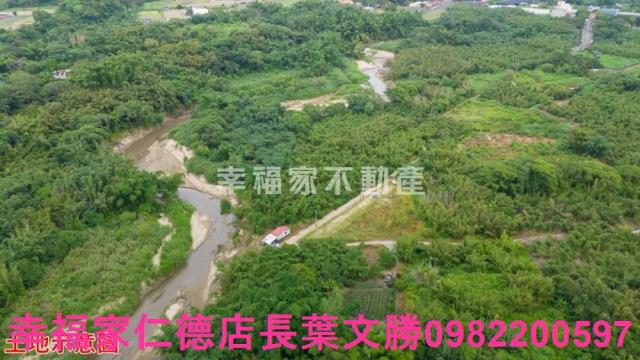 台南關廟農地-9