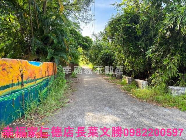 台南關廟農地-4