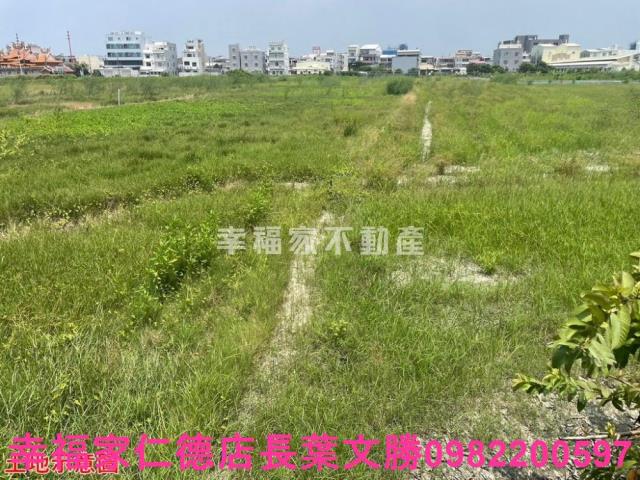 台南仁德農地-9