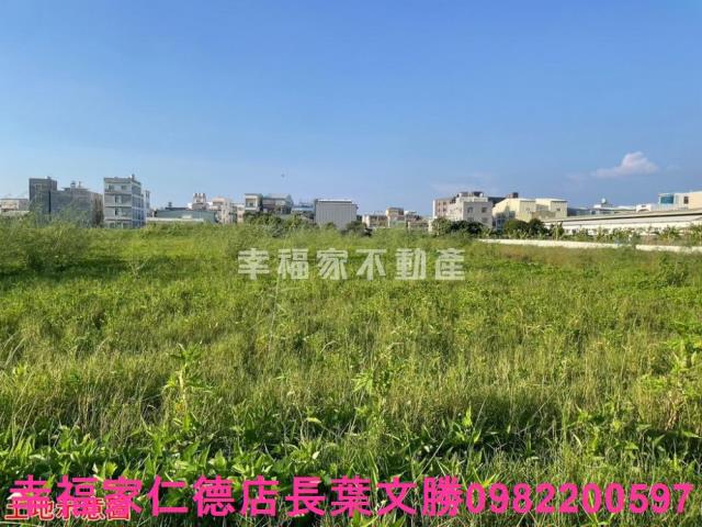 台南仁德農地-6