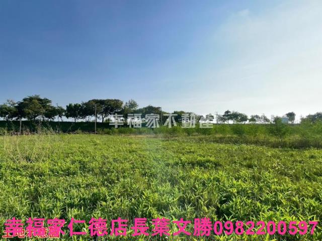 台南仁德農地-8