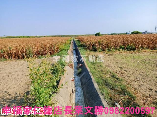 台南七股農地-9