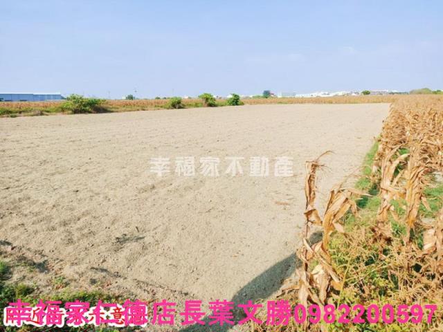 台南七股農地-12