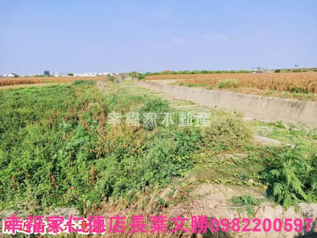 台南七股農地-4