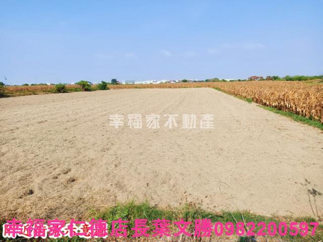 台南七股農地-6