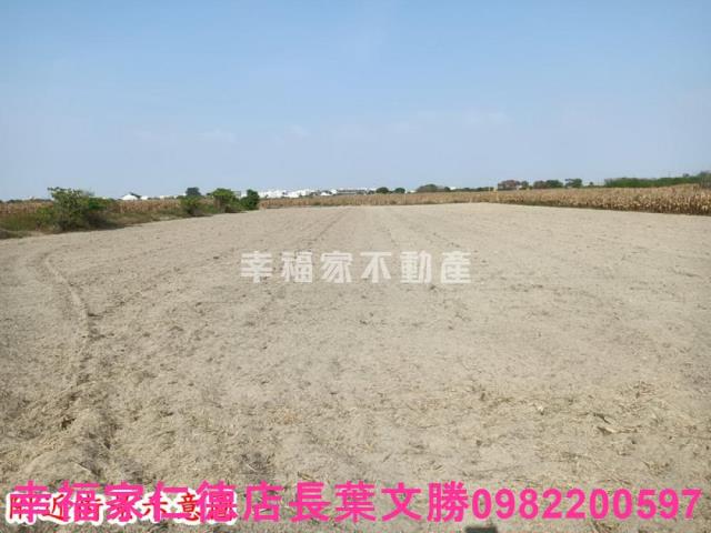 台南七股農地-8