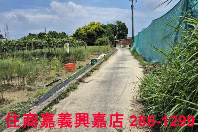 嘉義新港農地-11