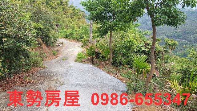 台中農地-1