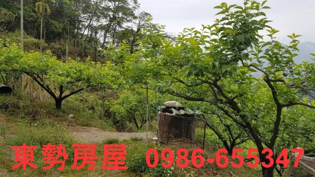 台中農地-4