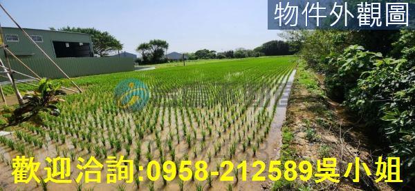 新竹農地-10