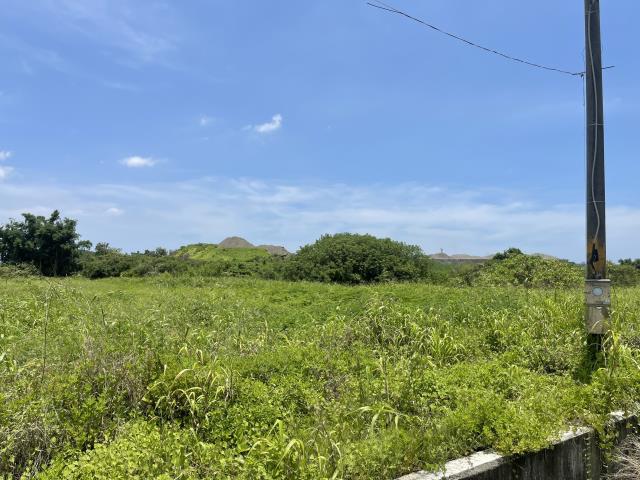 高雄農地-2