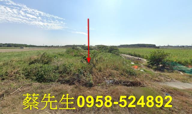 台西法拍台西農地台西土地