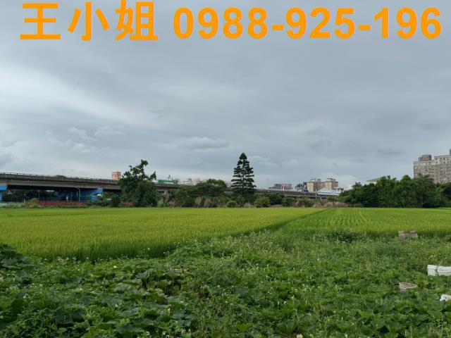 桃園桃園區農地-0