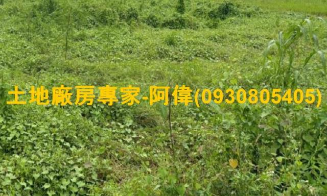 高雄大寮農地-0