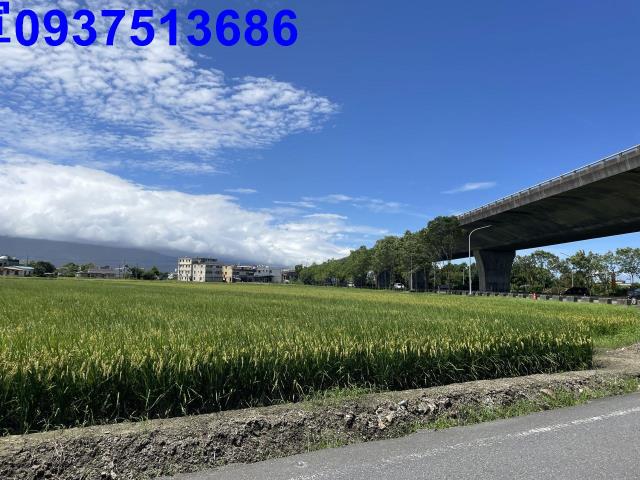宜蘭壯圍農地-0