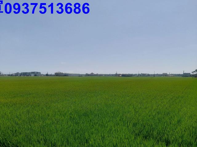 壯圍農地-6