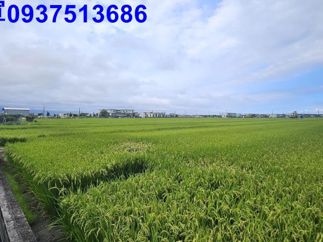 壯圍農地-6