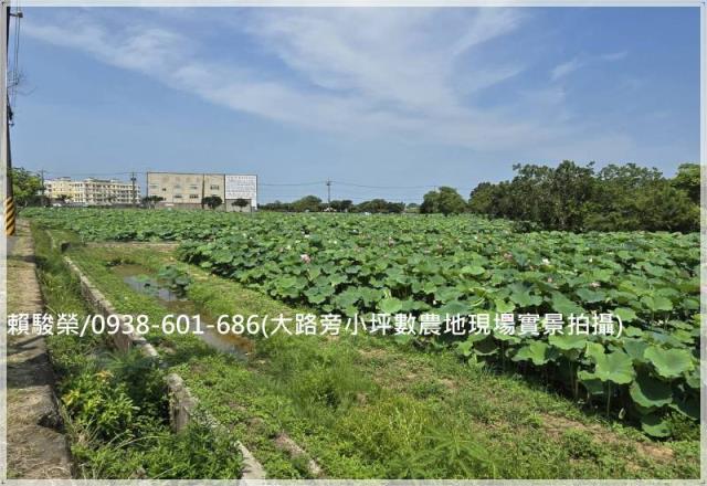 觀音正新華路一段農地