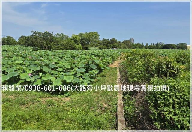 觀音正新華路一段農地