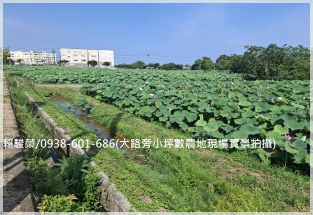 觀音正新華路一段農地