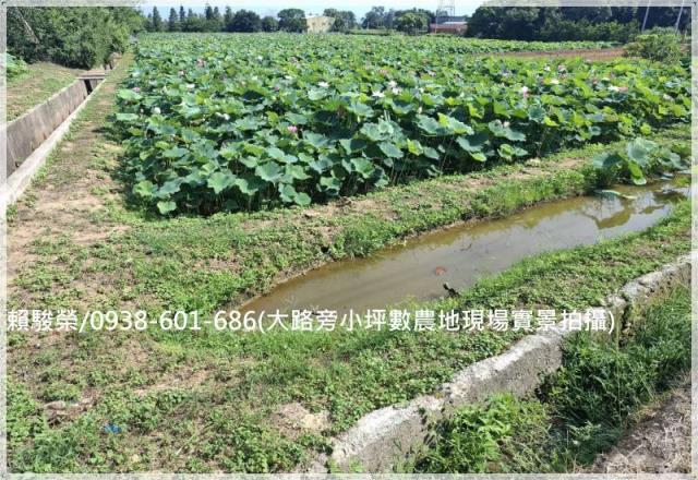 觀音正新華路一段農地