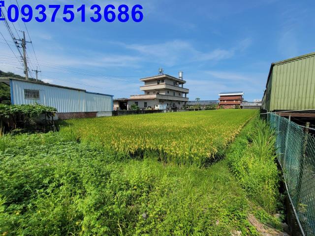 礁溪農地-3
