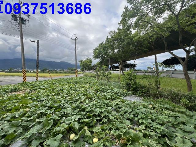 宜蘭農地-9
