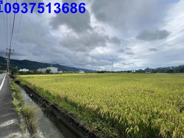 宜蘭農地-12