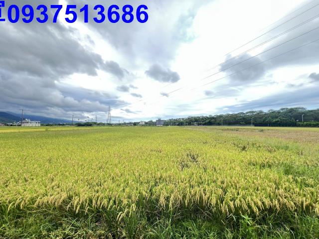 宜蘭農地-13
