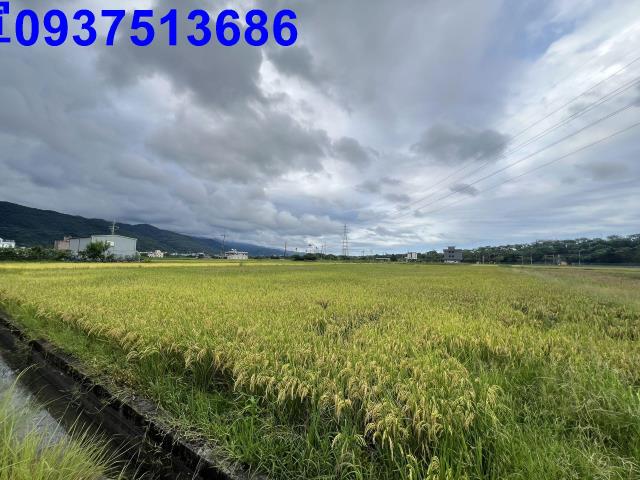 宜蘭農地-14