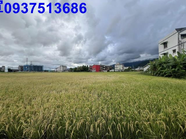 宜蘭農地-6