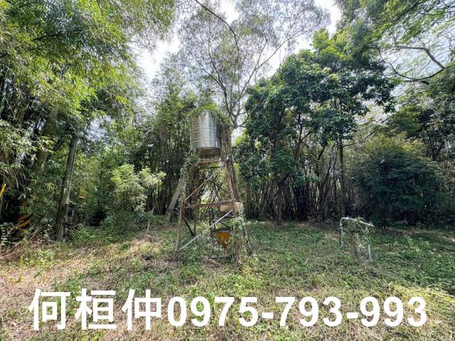 苗栗建地-11