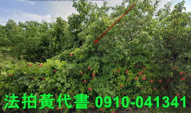 台南法拍農地-8