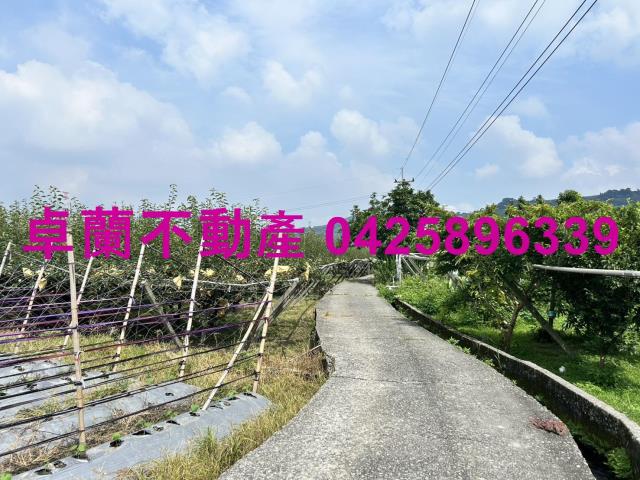 苗栗卓蘭農地-8