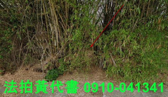 嘉義溪口建地法拍-0