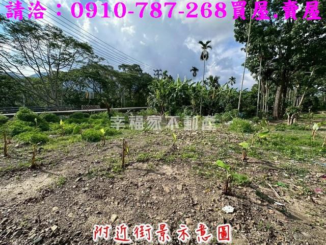 高雄六龜農地-1