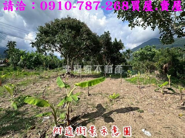 高雄六龜農地-3