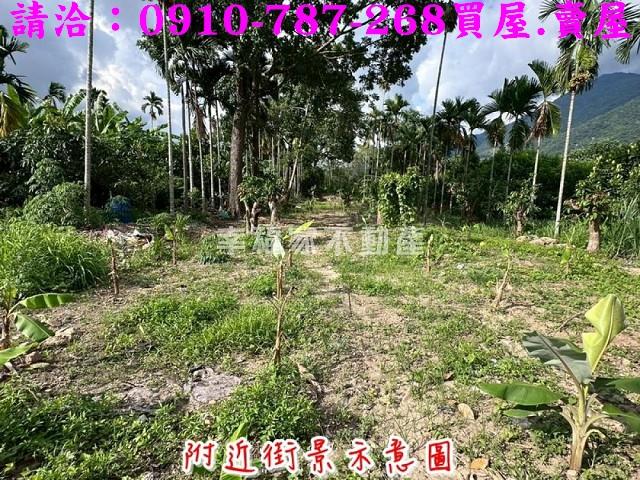 高雄六龜農地-4