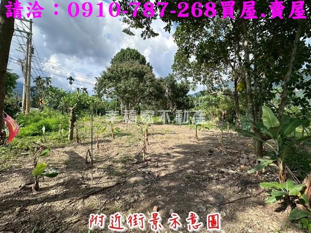 高雄六龜農地-6