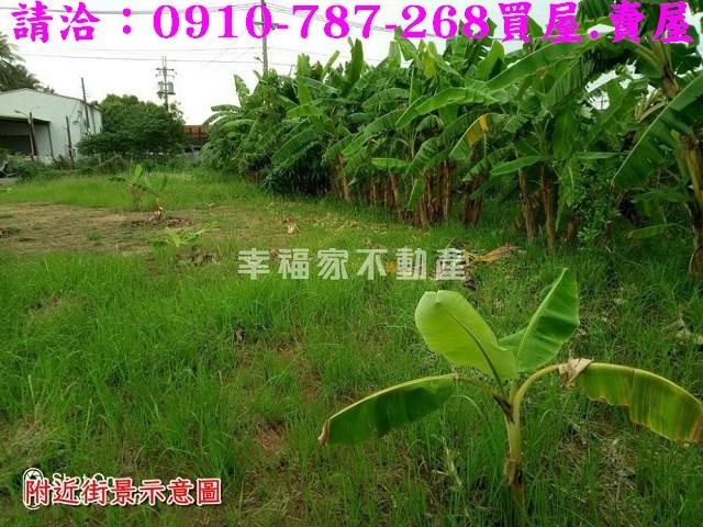 台南安南農地-7