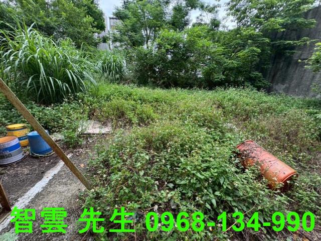 八德工業地-0